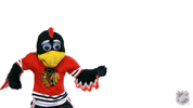 Rocking Out Chicago Blackhawks GIF by NHL