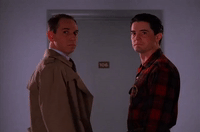 season 2 albert rosenfield GIF by Twin Peaks on Showtime