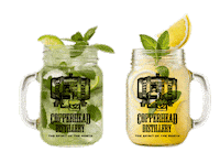 Summer Cheers Sticker by CopperheadDistillery