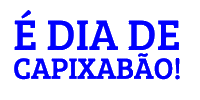 Futebol Capixaba Sticker by futebolcapixabaoficial