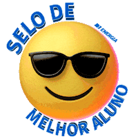 energiachapeco energia escola educacao chapeco Sticker