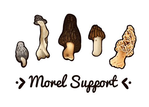 support morel GIF