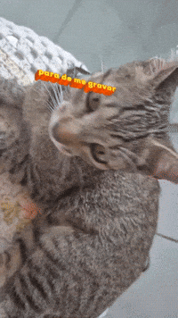 Charlene GIF