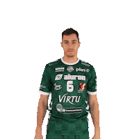 1-0 Virtu Sticker by Aluron CMC Warta Zawiercie