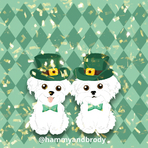 St Patricks Dogs GIF by HammyandBrody