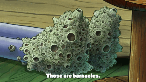 season 9 the fish bowl GIF by SpongeBob SquarePants