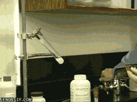 del futuro GIF