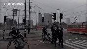 windy GIF by euronews
