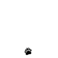Bear Paw Sticker by Lutheran Church of Hope