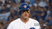 Anthony Rizzo Cubs GIF by MLB