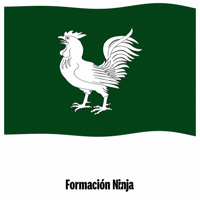 Flag Spain GIF by Formación Ninja