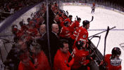 Happy Celebration GIF by NHL