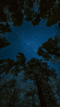 Scripture Messiah GIF