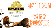 Lion King Puppy Sticker by Yanni Raz