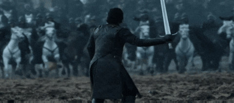 Game Of Thrones Fight GIF
