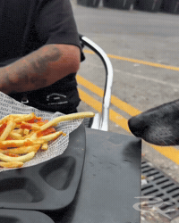 French Fry Dog GIF by Respective
