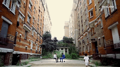 viceland GIF by NOISEY