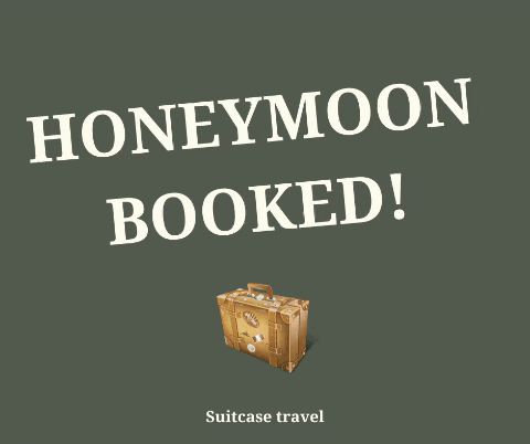suitcasetravel giphygifmaker honeymoon suitcase travel honeymoon booked GIF