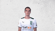 Christoph Kramer Bundesliga GIF by Borussia Mönchengladbach