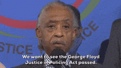 Al Sharpton GIF by GIPHY News