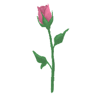 Virtual Bouquet Sticker by Hello Flowers！