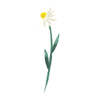 Virtual Bouquet Sticker by Hello Flowers！