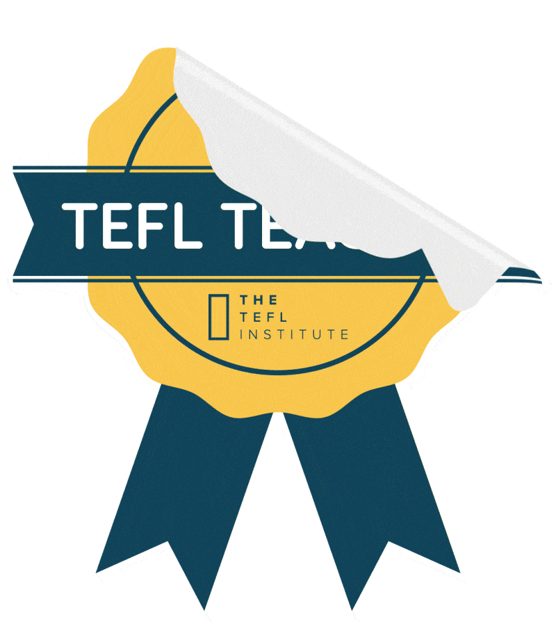 Teacher Teaching Sticker by TEFL Institute of Ireland