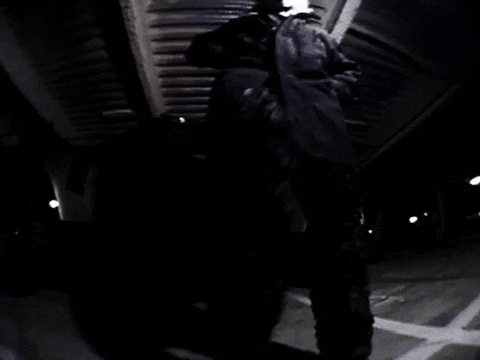 Wolf Bass GIF by IDK