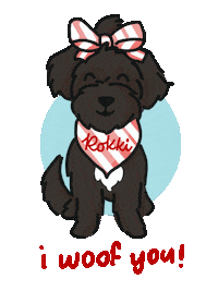 Rokki Sticker
