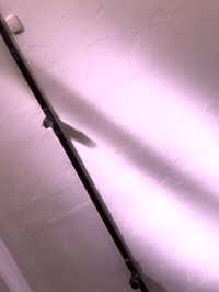 framebeta GIF