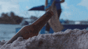 Earth Day GIF by 4ocean