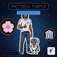 South Africa Spring GIF by TEAM AF