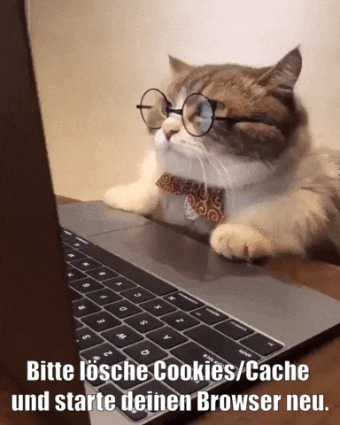 unsereoebb cat katze oebb weltkatzentag GIF