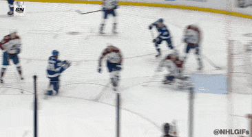 Happy Ice Hockey GIF by NHL