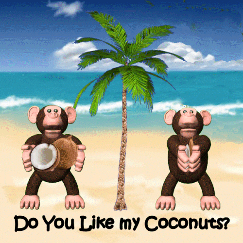 Palm Trees Monkeys GIF