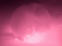 You Can Wow GIF by FranchiseONE.de