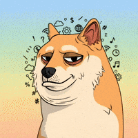 Shiba Inu Dog GIF by Doge Pound
