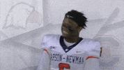 Carson Newman Football GIF by Carson-Newman Athletics