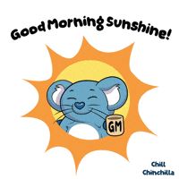Good Morning Sun GIF by VeeFriends