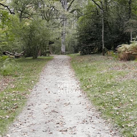 Trick Or Treat Halloween GIF by Oriental Dance on line