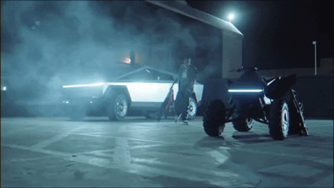 paigelez giphygifmaker GIF