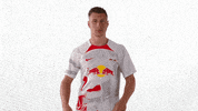 Football Soccer GIF by RB Leipzig