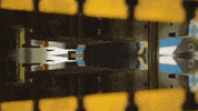 Art Video GIF by jorgemariozuleta