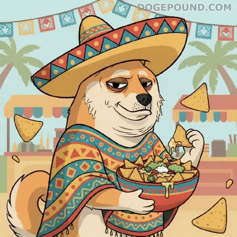 Hungry Tortilla Chips GIF by Doge Pound