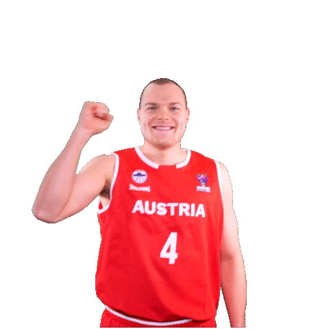 Fiba Teamaustria Sticker by Basketball Superliga