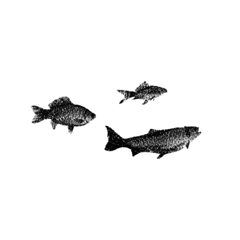 MarieWelke3 giphyupload fish swimming Sticker