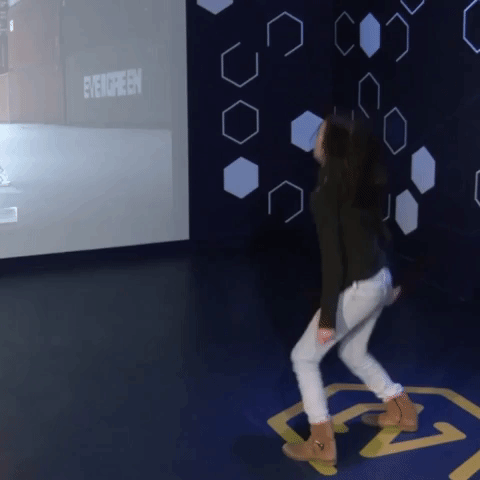 park arena GIF