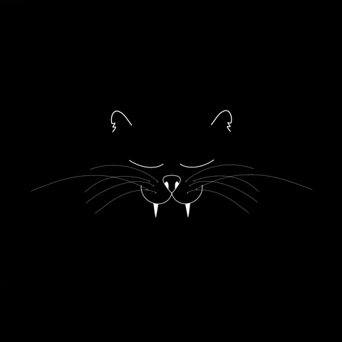 Robertaressa91 giphyupload cat kitty gatto GIF