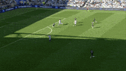 Soccer Futbol GIF by Brighton & Hove Albion Football Club
