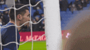 Soccer Futbol GIF by Brighton & Hove Albion Football Club